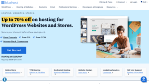 Bluehost Hosting